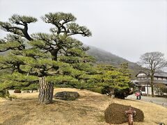 本日は、バスは四国を北東へ45分程戻り、栗林公園にやってきました。4つ目の突っ込み所、戻るんかい?
栗林公園は来たことあるけど、素敵な所だからまぁいいよ。
この栗林公園、面積は75ヘクタールもあるって。