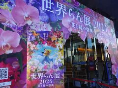 世界らん展2024は、この日から一週間ほど開催され、初日のこの日は凄い人。
假屋崎さんのサイン会もあるらしいので、出合えるかな・・と・・入場