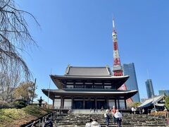 見て下さいな！！
増上寺の大きな本堂の後ろに東京タワー☆彡
不思議な感じです(^ω^)

こちらの増上寺は、H.Pを参考にさせて頂いて。。
開山600年の歴史のあるお寺さんで、室町時代から戦国時代にかけて、浄土宗の東国の要として発展して来たとの事。。。
徳川家康様が江戸幕府を開く時に、こちらのお寺さんを徳川家の菩提寺にしたとの事です。。
でも明治には2度も火災にあって、更に戦時中には空襲で焼失してしまって・・
その後再建されて現在に至っています。。
築地本願寺もそうだけれど、東京の神社仏閣は震災や戦火での焼失が大かったのですね・・