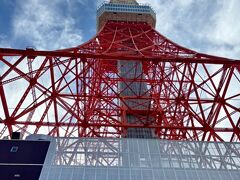 ジャジャーン☆彡
もう小学生以来？？
東京タワーへ来ました(´▽｀*)

