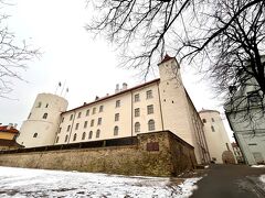 「リーガ城」
1330年に建設された石造り城で、リヴォニア騎士団、ポーランド・リトアニア連合、スウェーデン、帝政ロシアと支配者が代わることに、それぞれの支配者の住居となった歴史があります。11月11日通り側から見たリーガ城、