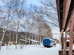 こちらには鉄道公園もあり冬でも展示してある列車に近づくことは出来ます
色いろな列車がありました