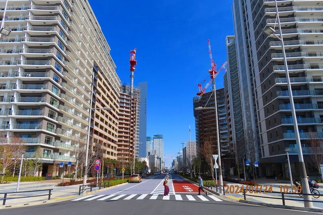 東京散策139】4月1日街開き・オリ・パラ選手村レガシーを残す
