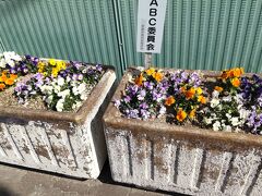 樽井駅近辺の花壇。
駅は小さくローカルな雰囲気。