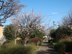 見沼代親水公園