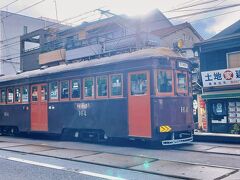 レトロな阪堺電車がちょうど通った～!