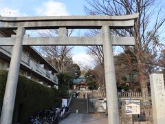 北沢川緑道を歩いて北沢八幡神社へ