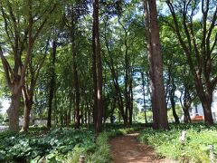 特に良いのは木々のの茂る香りの散歩道。暑い夏に涼し気な木陰を提供してくれます。蝉が煩いですが、それも涼し気に感じてしまう程。森林浴にもなります