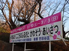 円乗院から北沢川緑道を進み羽根木公園へ