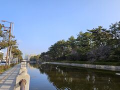 道後温泉まで3キロ弱なので、戻ってきても10キロいかない！
ので、城山公園を走ります！