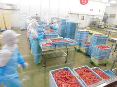 本日2か所目の見学

「めんたいパークとこなめ」に11時40分に到着。

工場見学と買い物です。

