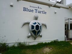 Blue Turtle