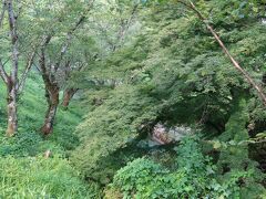 三尾神社の近くには琵琶湖疏水のトンネルがありますが、木々に覆われ上からはほとんど見えません