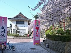 まずは「丸岡城」の天守を目指すべく城跡（公園）へ入っていくと、ちょうど４月上旬ころの桜の見頃に合わせ開催される、「丸岡城桜まつり」の案内表示が出てました。