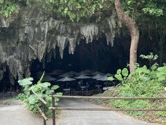 ここは予約必須です。

人数制限があるので、突然きてもいっぱいで入らないという人もいました。
歩いてまわりますが、案内の方はとてもゆっくり歩いてくれるので安心です。