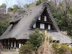 「日本民家園」には「日本」とあることから、多摩地方だけではなく、日本全国の家も移設されています。
飛騨の合掌造りの家も３軒ほどあり、そのうちの１軒はお蕎麦屋として使われていました。