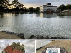 陽も傾いて、猿沢池の夕焼けも綺麗になってきました。

室生寺からメナード青山リゾート、奈良ホテルでのランチを楽しんだ、結婚40周年のお祝い旅、無事終了です。

今回、これまで。