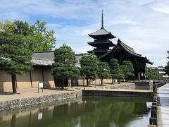 京都を代表する景色です。