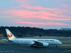 成田空港 第1ターミナル 展望デッキ