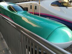 東京駅8：20発のはやぶさ7号で北上します。
この列車は上野を通過する最速列車です。
きっぷ購入時には既にE席は完売状態で、A席にしました。

さすがに仙台までは満員御礼です