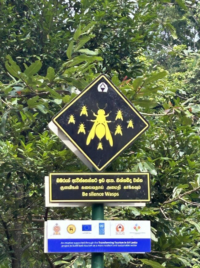 蜂に注意の看板は至るところにありました。<br />怖い。