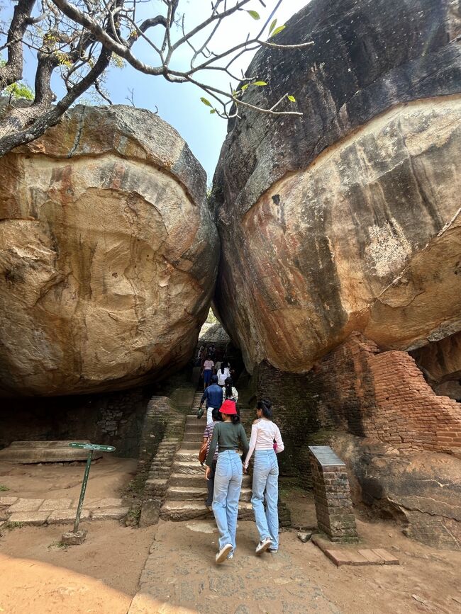 ゴロンて転がってきたり･･･しないのよね？