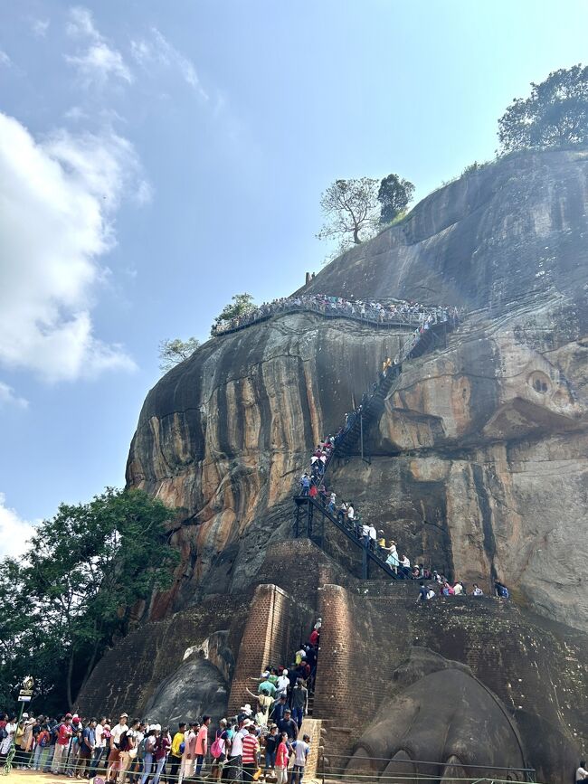 で、このライオンテラスに到着するととんでもない行列が･･･
