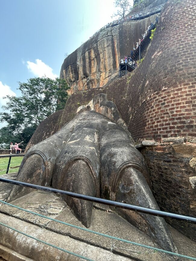 ね、前足だけしか残ってないのだけど、ライオンのするどい爪。