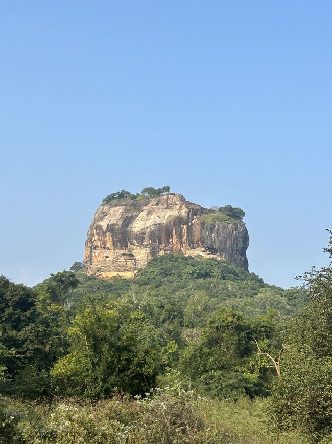 下りの途中で有名なシーギリヤ・レディの壁画があるのですが、これは撮影禁止につき皆様ぜひ現地へ足をお運びください。<br /><br />観光みっちり3時間かかりました。<br />渋滞がなければ2時間もあれば十分かと･･･<br />そのためには朝一番で来なきゃですね。<br /><br />トゥクトゥクの営業を追い払って、バスで帰ります。