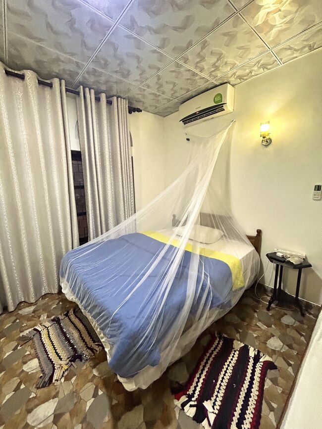 今夜は女王様ヾ(*´∀｀*)ﾉ<br />いや、ただの蚊帳です。破けてるから結局化学兵器も併用することに。<br /><br />エアコンも細かな温度調節ができるし、Wi-fiも速く、シャワーの湯圧・温度ともに申し分なくてよいホテルでした。<br />13.5USD<br />