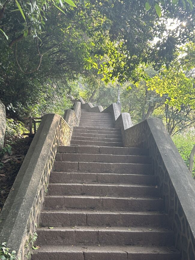 やっとのことでチケット売り場にたどり着くも、またこのような登り。<br />チケットは現金のみ、2000ルピー(約1000円)<br /><br />凶悪そうな毛虫がたくさんでゾワっとしました。<br />うちの子いたら無理だったろうな～。<br />とにかくすごい数で、millions of 毛虫って感じ。