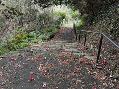 バスの写真とか、全部撮るの忘れました。

新地中華街バスターミナル　8:20発
→桜の里バスターミナル　9:13着

長崎市内をひたすら北上して、山道を抜け、少し昭和感(!?)のするニュータウンに作られた「桜の里バスターミナル」に到着。

ここで　9:20　板の浦行きバスに乗り換えます。

だいたいどちらのバスも7割くらい座席が埋まる程度の乗車率。
観光客は3-4割くらいかな。
連休でも地域住民のかたに迷惑かけない程度に、着座で行けました。

9:40ごろ、出津に到着。ちなみ出津は「でつ」じゃなく、「しつ」だとバスに乗って初めて知りました。

なお、写真は出津のバス停で降りて、裏道から教会堂に上がるための階段。
たぶん、出津文化村バス停で降りて登る方が正しいルートです。







