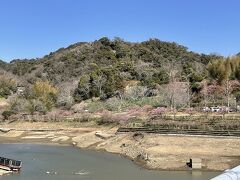 佐久間ダム湖

ここに行くには「佐久間ダム湖」とナビを入れても出てこないので
「をくづれ水仙郷」と入れると、その先は案内があります