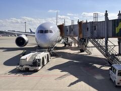 こちらが　これから乗る航空機　ターキッシュエアラインズです