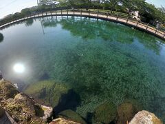 レンタカー返却前に丸池湧水に寄り道です。
場所的には鹿児島空港から北に３０分ぐらいの場所にあります。
日本名水百選に選ばれてるのも納得です！