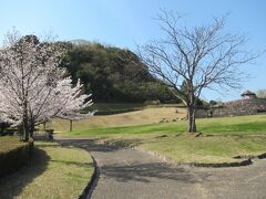 子供達よいしょスポットへ向かいます
とくしま植物園
ここは植物園・動物園・遊園地が１つのスポットにまとまってます
でも山なので結構広くて徒歩で行くのはきついかも
駐車場をそれぞれ変えると良いです
お花見のためか植物園の無料駐車場は結構いっぱいでした