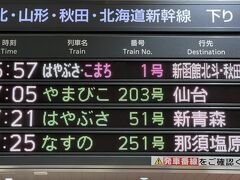 はやぶさ1号で新青森を目指します。切符購入時は満席でしたが、何度が挑戦してぽこっと予約できました。