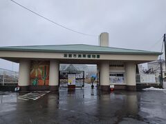 今日は函館も雨。傘をさしながら「函館市熱帯植物園」(入園料300円)へ。今日は熱帯植物園がメンテナンスで入れないから無料だって！