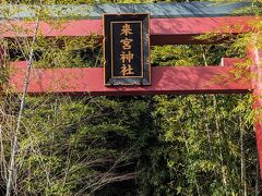来宮神社にも寄りました。
梅園からは結構歩いたような。