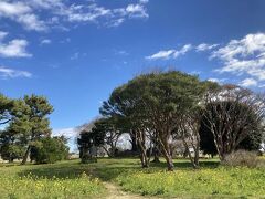 中の島公園に来ました。誰もいない。
国交省江戸川河川事務所が整備した
土木遺構がいっぱいある公園