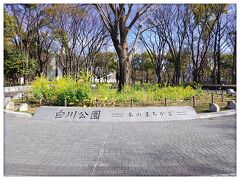 白川公園
伏見駅5番出口から徒歩5分
ここに来ようと思ったのではなく、単純に道を間ち違えましたw
公園だぁ、なんて言いながら真反対に歩いていました。