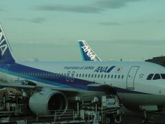 飛行機での移動