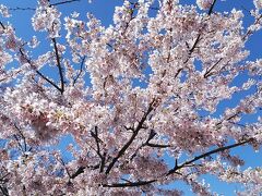 神奈川県立フラワーセンター大船植物園