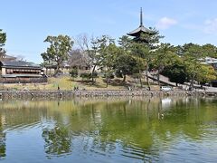 猿沢の池へ。このあと、ならまちを巡り、今回の花見ツアーを終えた