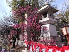 難波熊野神社（神社の前の梅）
　「史跡難波の海」の宮として、応神天皇の時代から梅の名所とされて
　 いるとのことです。毎年、梅まつりが開催されています。
  
