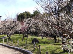 梅の木公園
　難波熊野神社から徒歩３分くらいのところにあります。
　難波熊野神社と共に尼崎の梅の名所です。