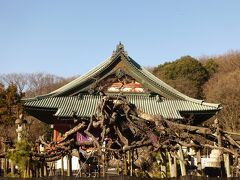 呑龍さま
大光院(正式名称は義重山新田寺大光院)は「子育て呑龍さま」の名前で親しまれています。
呑龍さまって、大光院を開山した?龍上人の事で、寺院の創建は慶長18(1613)年。徳川家の始祖と言われる新田義重の追善供養の為に建立された寺院です。

本堂前の黒松は、その形から「臥龍松」と言われています。って正にPHOもそう思いました