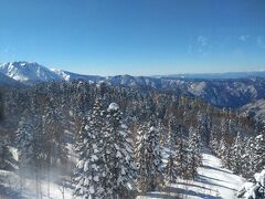 西穂高口駅を出たところは頂の森。
雪が積もってキラキラして絵本の中みたいです。