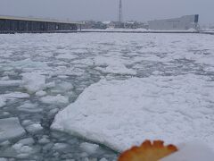 戻ってこーい、と願いつつ、港の中に残ってる流氷を見ながら、熱々のホタテの天ぷら(練り物)をモグモグ