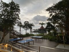 雨も降ってきたりして、朝散歩は諦めました。残念。